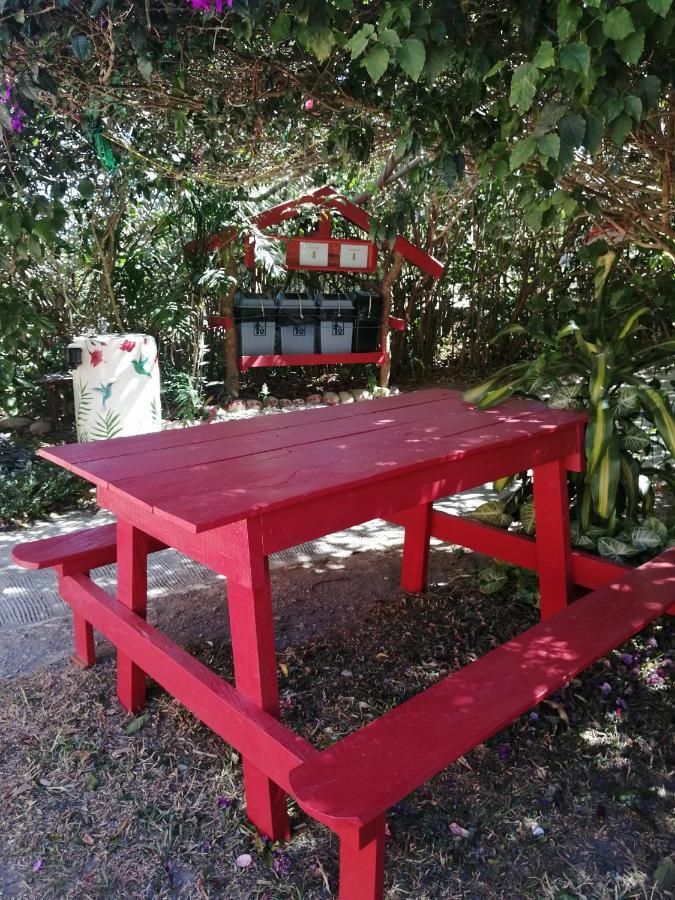 Pension Y Cabinas Colibri B&B Costa Rica Monteverde Zewnętrze zdjęcie