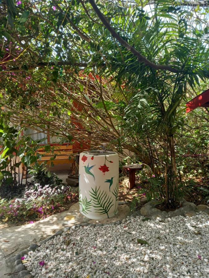 Pension Y Cabinas Colibri B&B Costa Rica Monteverde Zewnętrze zdjęcie