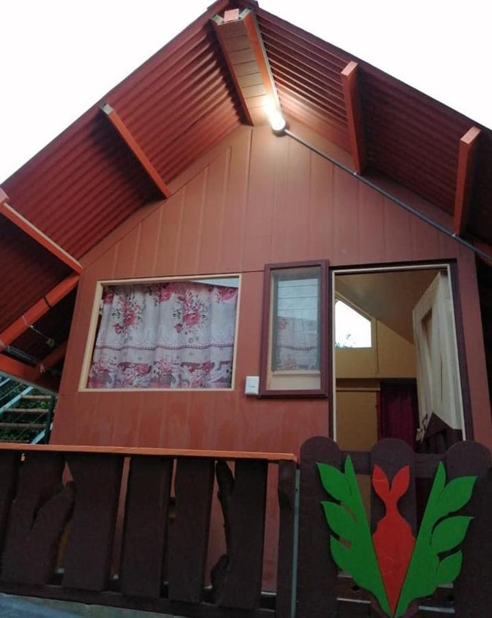 Pension Y Cabinas Colibri B&B Costa Rica Monteverde Zewnętrze zdjęcie