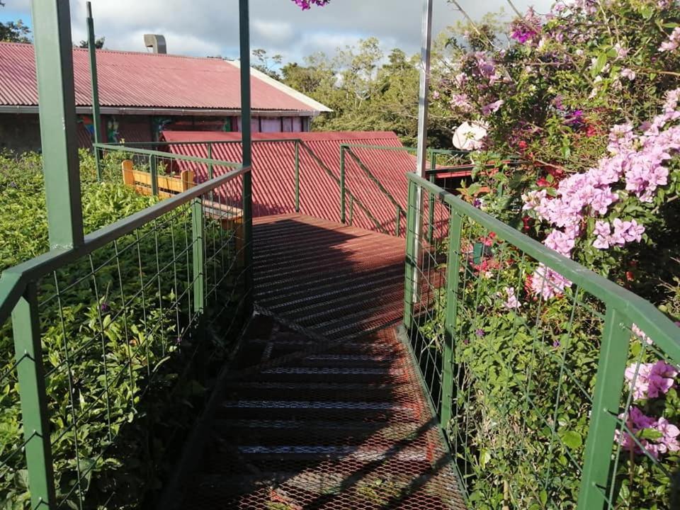 Pension Y Cabinas Colibri B&B Costa Rica Monteverde Zewnętrze zdjęcie