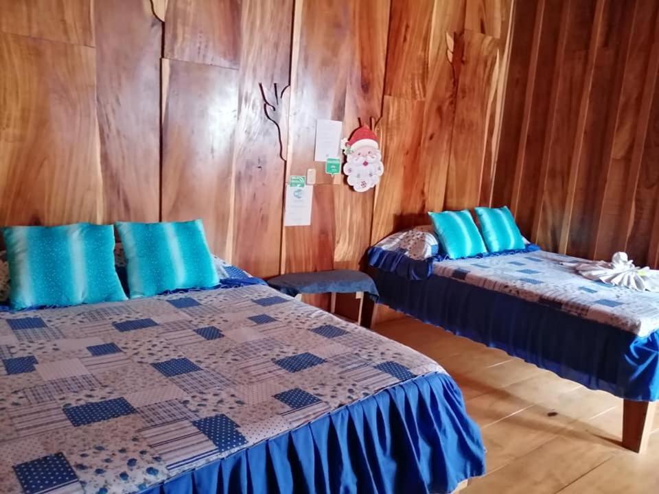 Pension Y Cabinas Colibri B&B Costa Rica Monteverde Zewnętrze zdjęcie